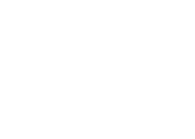 brand-logo9